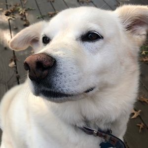 Meet your Posher, Claire